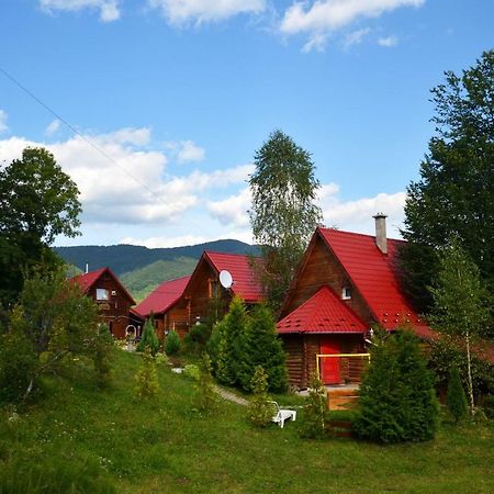 Teremok Guest House Vysjka Exteriör bild